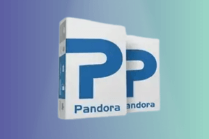 Pandora box
