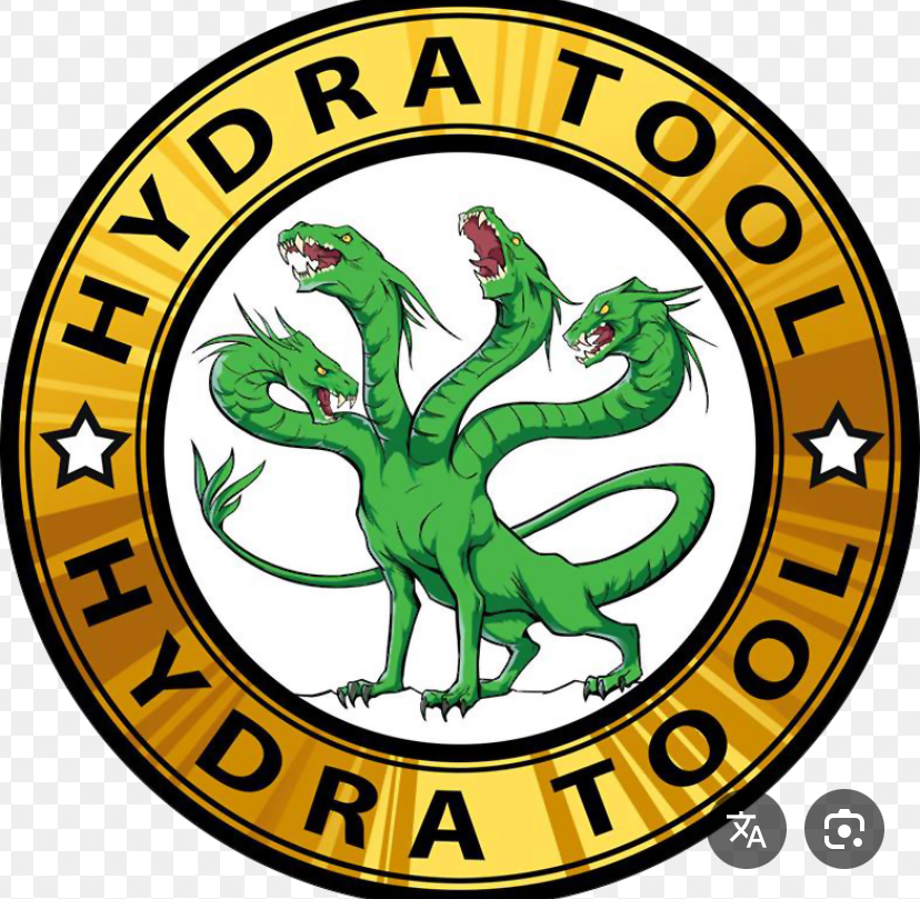 Hydra Digital account with 2$ credit for 1 auth